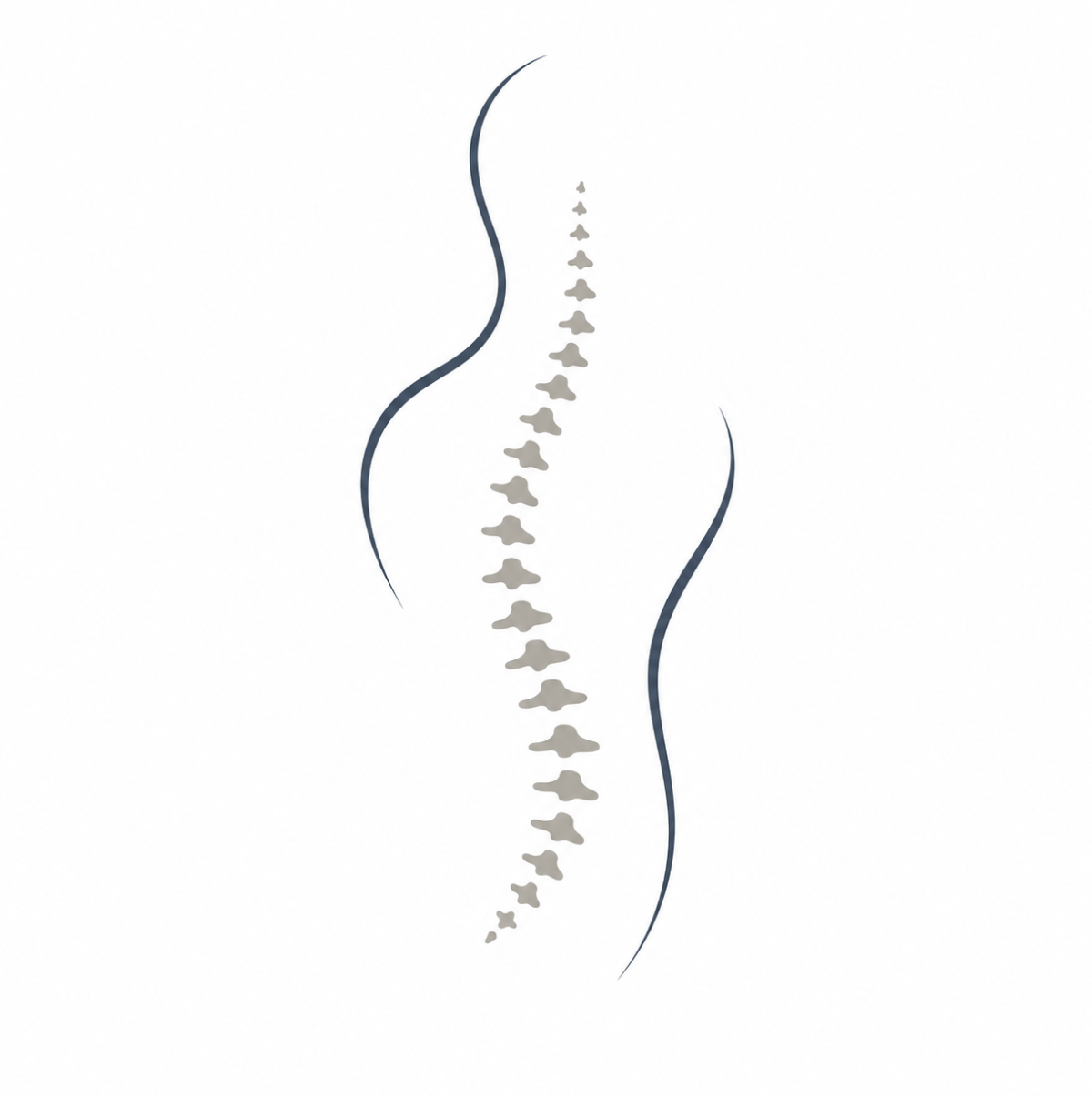 Illustrazione colonna vertebrale